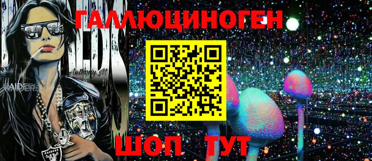 Солнечногорск  Псилоцибиновые грибы Psilocybe  Вход с VPN 